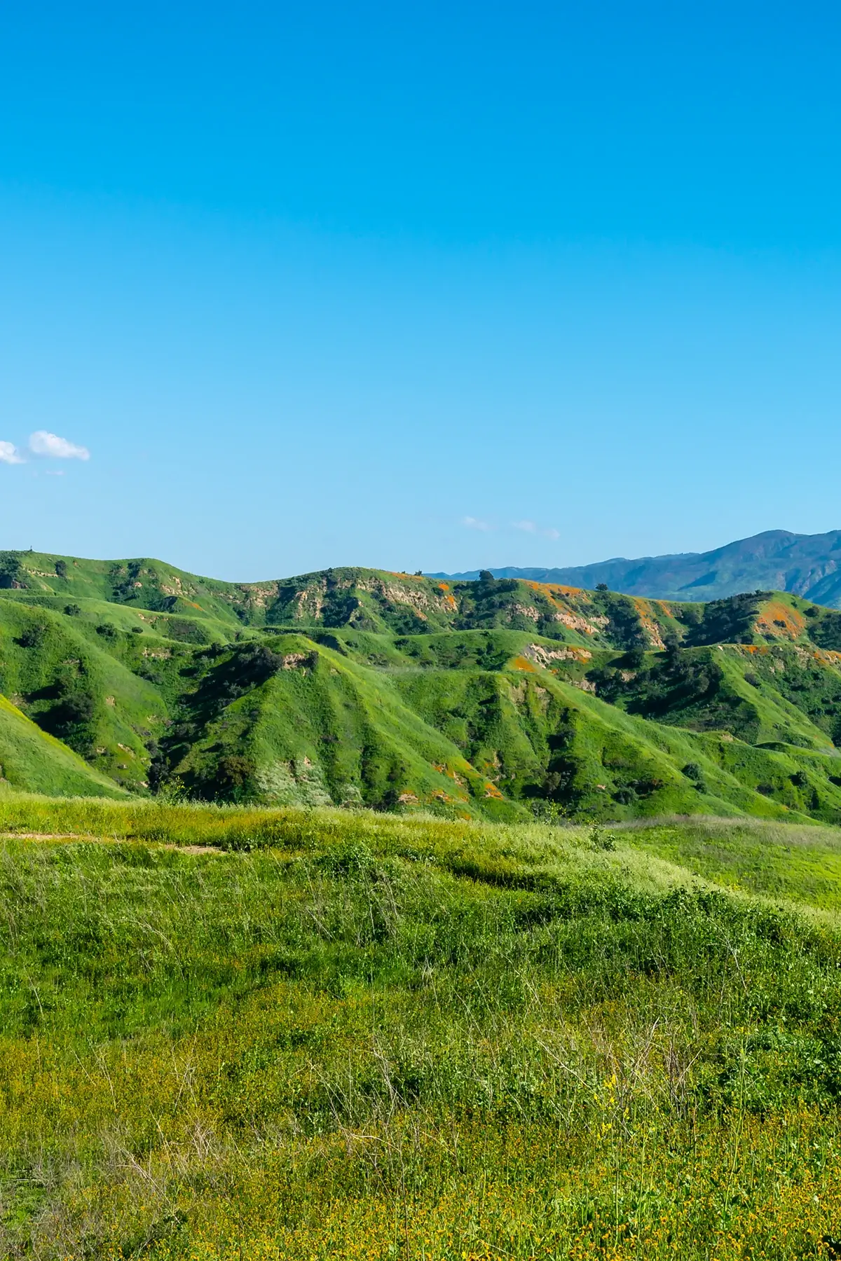 Chino Hills