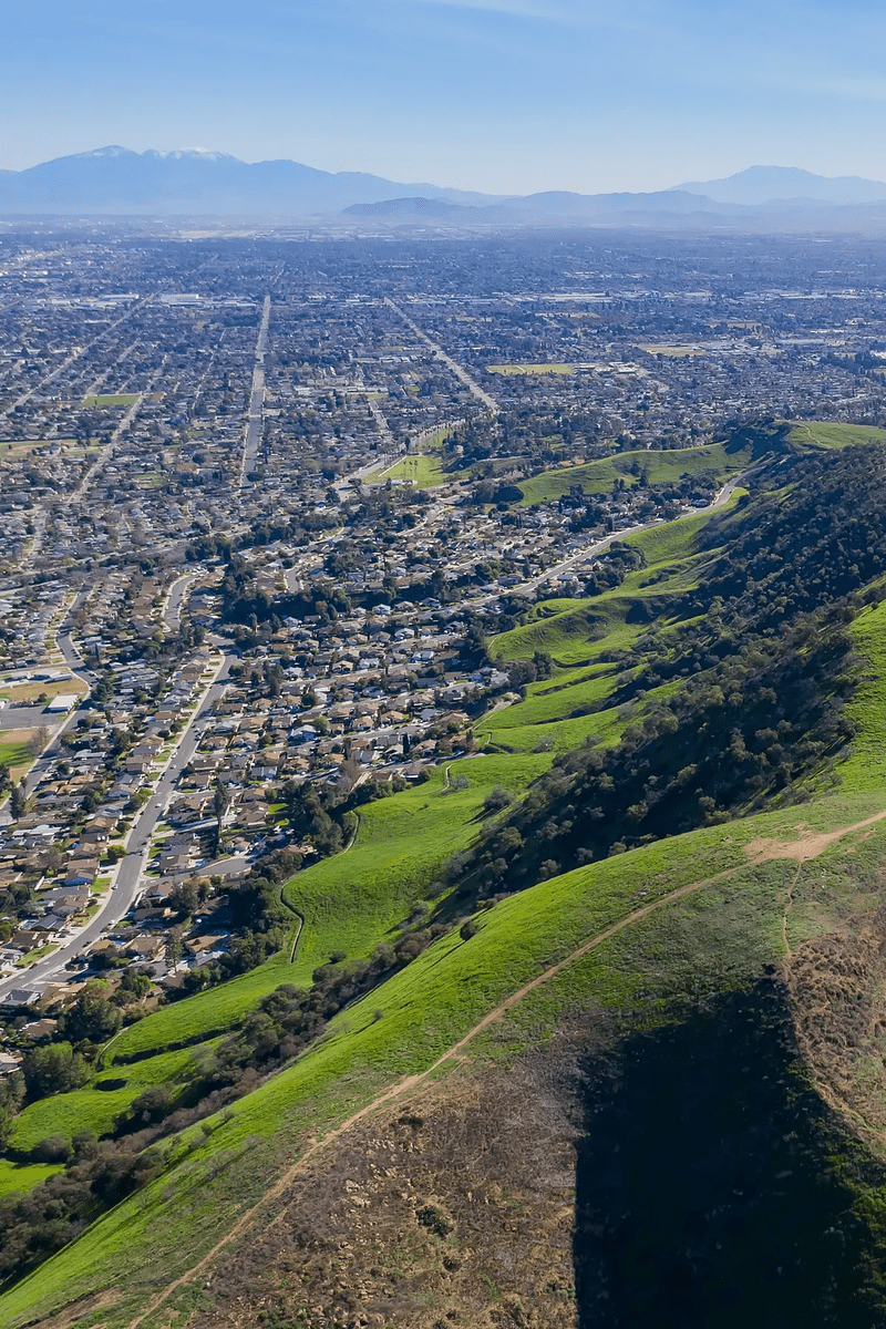 Pomona